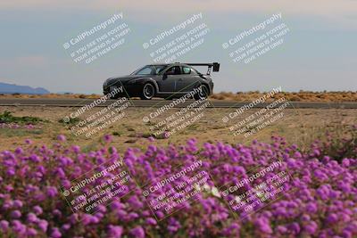 media/Jan-08-2023-SCCA SD (Sun) [[8f6a5b9391]]/Intermediate Group/Session 2 (Short Straight)/